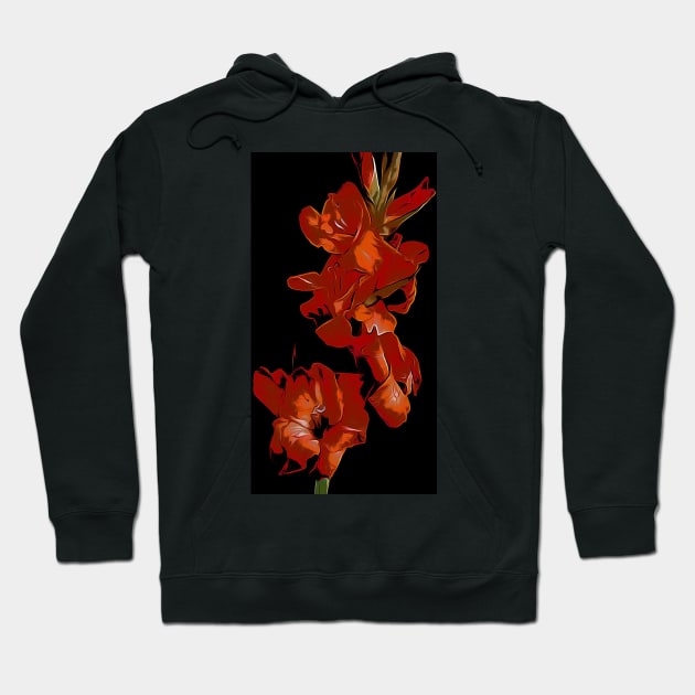 Red Gladioli Hoodie by Colin-Bentham